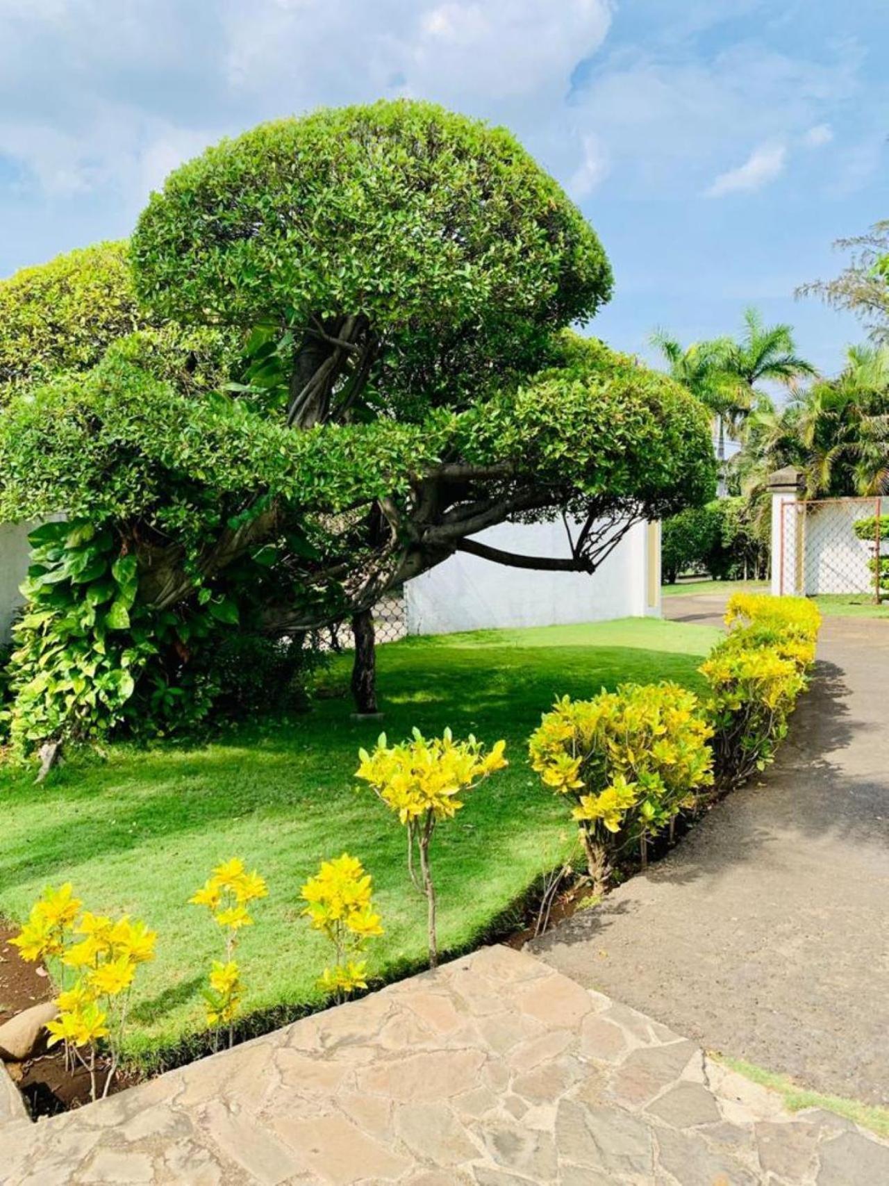Hotel Casa Del Sol Managua Dış mekan fotoğraf